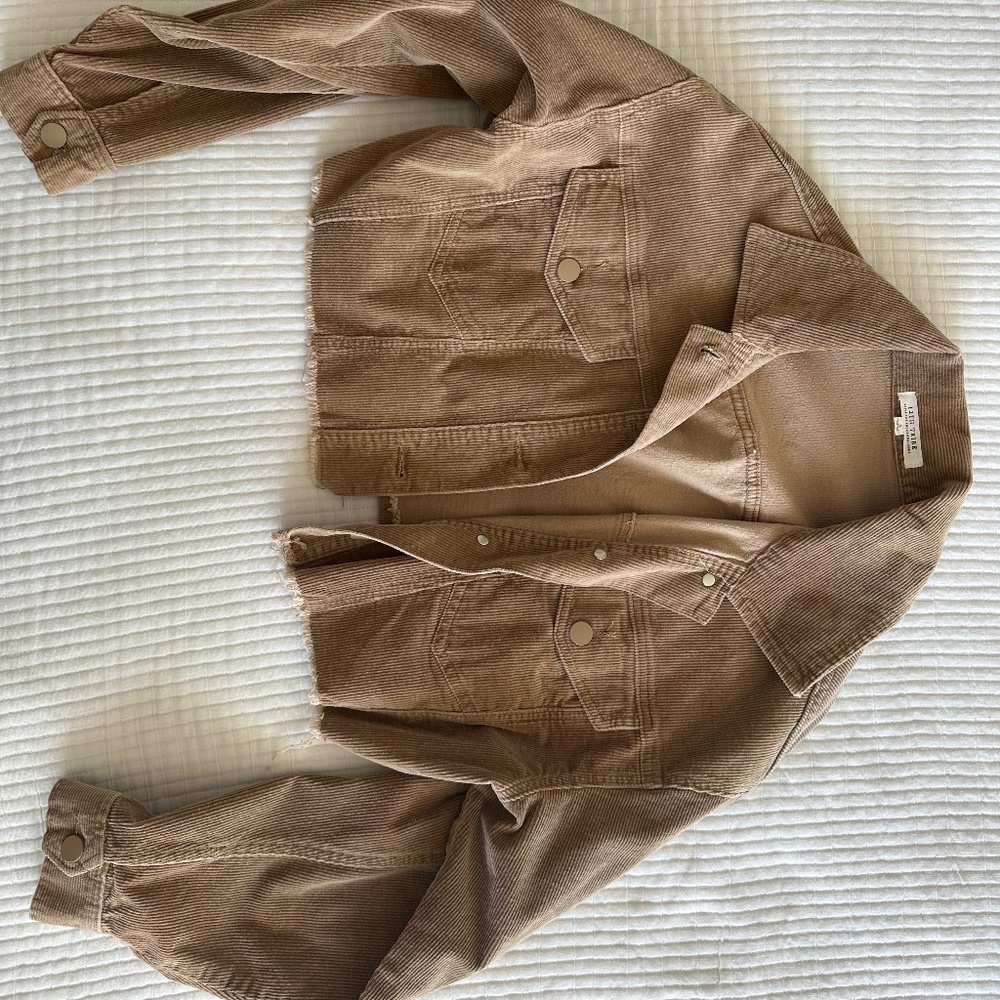 12th Tribe, Cropped Brown Jacket (small)